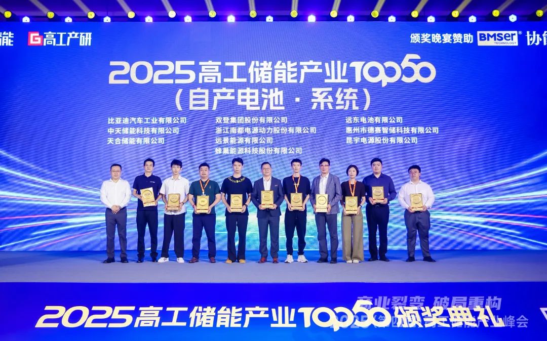 再獲殊榮！德賽電池榮登2025高工儲(chǔ)能產(chǎn)業(yè)“儲(chǔ)能電池·系統(tǒng)榜單TOP10”